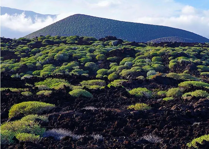 Live Casa Key 公寓