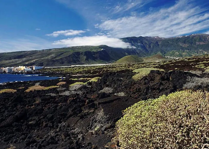 Live Casa Key 公寓 *